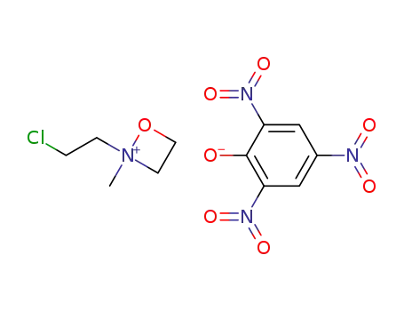 Molecular Structure of 109261-80-5 (2-(2-chloro-ethyl)-2-methyl-[1,2]oxazetidinium; picrate)