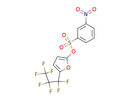 3-Nitro-benzenesulfonic acid 5-heptafluoropropyl-furan-2-yl ester