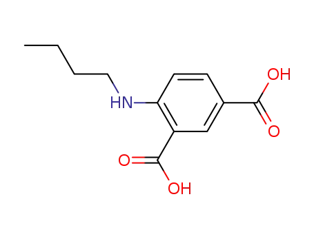 Molecular Structure of 100391-61-5 (4-butylamino-isophthalic acid)