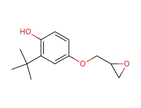 Molecular Structure of 7020-07-7 (2-<i>tert</i>-Butyl-4-(2,3-epoxy-propoxy)-phenol)
