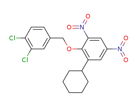 Molecular Structure of 29516-62-9 (1-Cyclohexyl-2-(3,4-dichloro-benzyloxy)-3,5-dinitro-benzene)