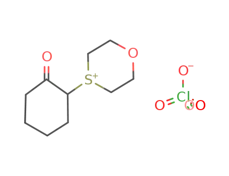 Molecular Structure of 111661-74-6 (1,4-Oxathianium, 4-(2-oxocyclohexyl)-, perchlorate)