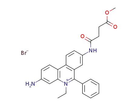 N-8-(methyl succinyl) ethidium bromide
