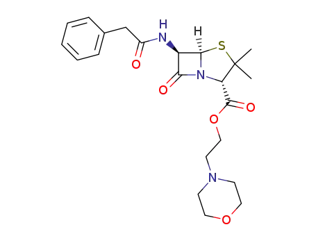 6β-(2-phenyl-acetylamino)-penicillanic acid-(2-morpholino-ethyl ester)