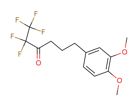 Molecular Structure of 141708-88-5 (3-Hexanone, 6-(3,4-dimethoxyphenyl)-1,1,1,2,2-pentafluoro-)