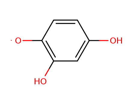 2,4-dihydroxyphenoxyl radical