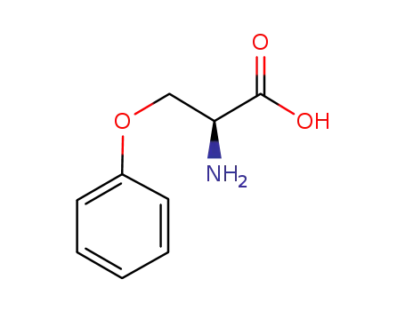 Molecular Structure of 24807-63-4 (L-Serine, O-phenyl-)
