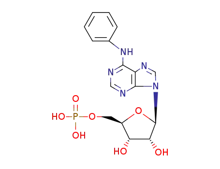 5'-Adenylic acid, N-phenyl-