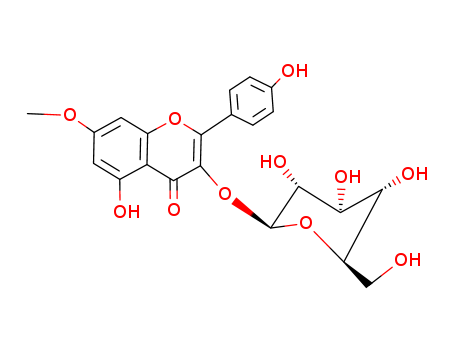Rhamnocitrin 3-glucoside CAS No:41545-37-3