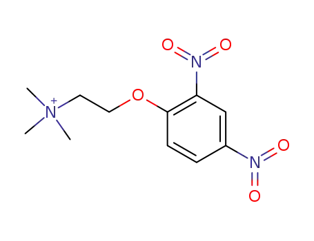 Molecular Structure of 61095-51-0 (Ethanaminium, 2-(2,4-dinitrophenoxy)-N,N,N-trimethyl-)