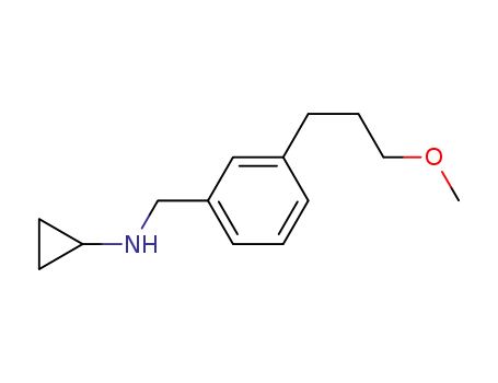 Molecular Structure of 921630-21-9 (Benzenemethanamine, N-cyclopropyl-3-(3-methoxypropyl)-)