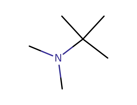 Molecular Structure of 918-02-5 (N,N-DIMETHYL-TERT-BUTYLAMINE)