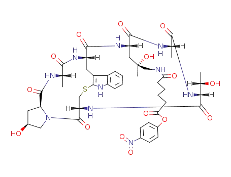 Molecular Structure of 87876-26-4 (7-(4-Hydroxy-5-((6-(4-nitrophenoxy)-1,6-dioxohexyl)amino)-L-leucine)phalloidin)
