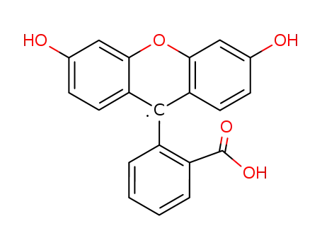 Molecular Structure of 85209-52-5 (semi-fluorescein radical)