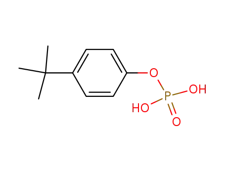 p-tert-부틸페닐 인산이수소