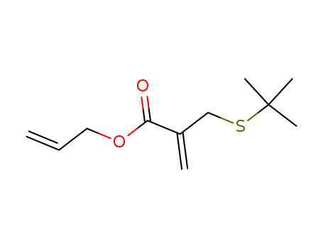 Molecular Structure of 108055-32-9 (allyl 2-methylene-3-t-butylthiopropanoate)