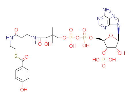 4-hydroxybenzoyl-coenzyme A
