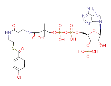 Molecular Structure of 27718-41-8 (4-hydroxybenzoyl-coenzyme A)
