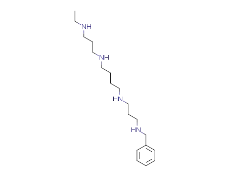 N-(3-benzylaminopropyl)-N'-(3-ethylaminopropyl)butane-1,4-diamine