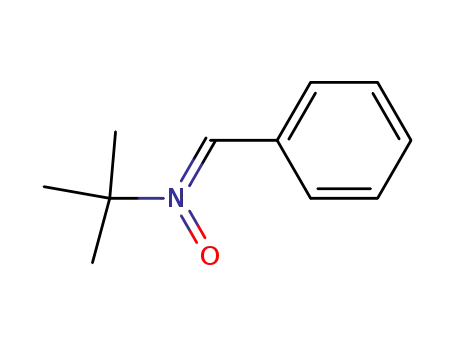 (Z)-benzylidene-oxido-tert-butyl-azanium