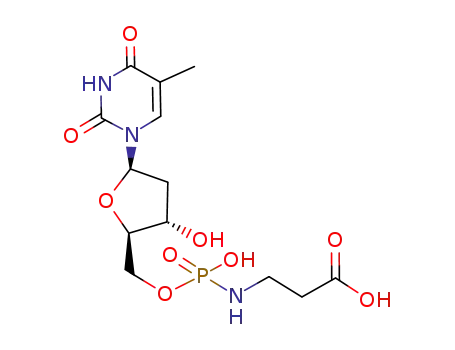 deoxythymidylyl-(5'->N)-β-alanine