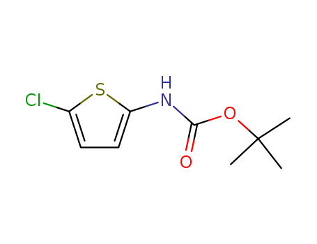 (5-CHLORO-THIOPHEN-2-YL)-CARBAMIC ACID TERT-BUTYL ESTER