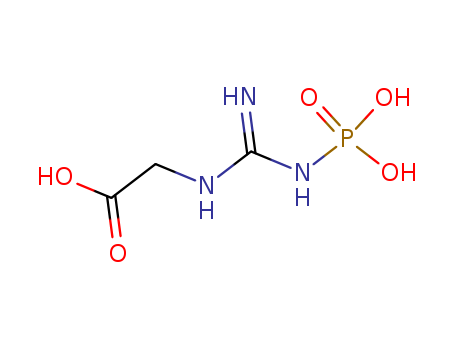Glycine,N-[imino(phosphonoamino)methyl]-