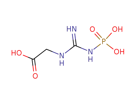 Molecular Structure of 5115-19-5 (2-[[amino-(phosphonoamino)methylidene]amino]acetic acid)