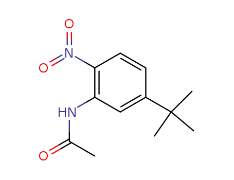 N-{5-tert-butyl-2-nitrophenyl}acetamide