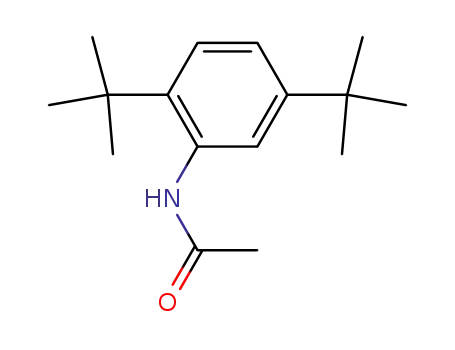 Molecular Structure of 23278-20-8 (N-(2,5-ditert-butylphenyl)acetamide)