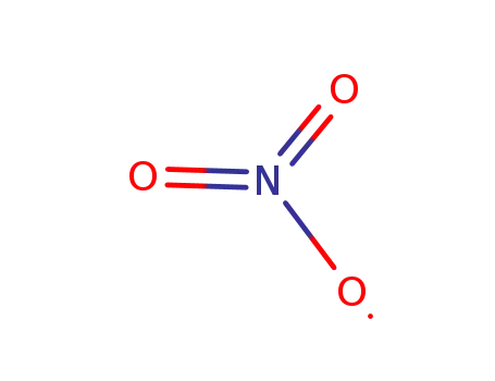 Molecular Structure of 12033-49-7 (nitric acid)