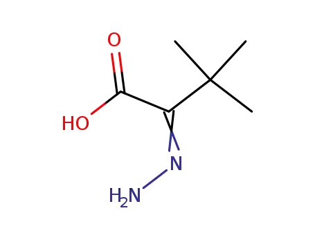 Molecular Structure of 217300-12-4 (2-Hydrazono-3,3-dimethyl-butyric acid)