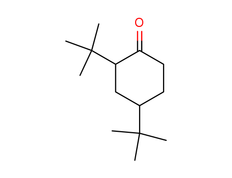 2,4-bis(1,1-dimethylethyl)-Cyclohexanone