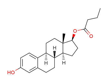 estra-1,3,5(10)-triene-3,17beta-diol 17-butyrate CAS No.18069-79-9