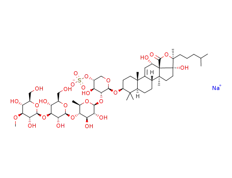 Molecular Structure of 75410-53-6 (Echinoside A)