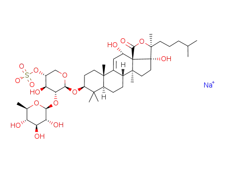 Echinoside B