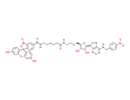 Adenosine,5'-S-[2-[[6-[[(3',6'-dihydroxy-3-oxospiro[isobenzofuran-1(3H),9'-[9H]xanthen]-5-yl)carbonyl]amino]-1-oxohexyl]amino]ethyl]-N-[(4-nitrophenyl)methyl]-5'-thio-(9CI)