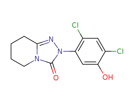Molecular Structure of 68049-71-8 (2-(2,4-dichloro-5-hydroxyphenyl)-5,6,7,8-tetrahydro-1,2,4-triazolo[4,3-A]pyridin-3(2H)-one)