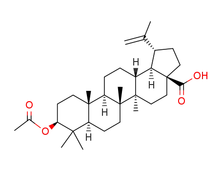 Molecular Structure of 10376-50-8 (3BETA-ACETOXYBETULINIC ACID)