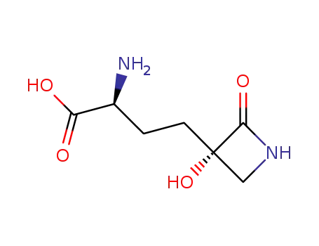 2-Amino-4-(3-hydroxy-2-oxoazacyclobutan-3-yl)butanoic acid