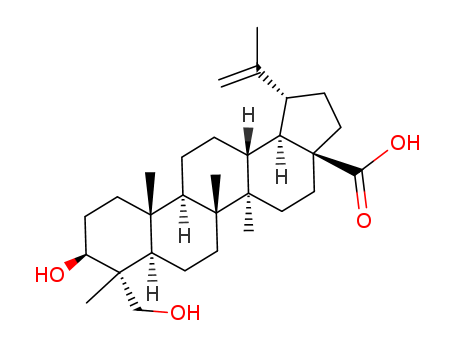 23-Hydroxy Betulinic Acid cas  85999-40-2