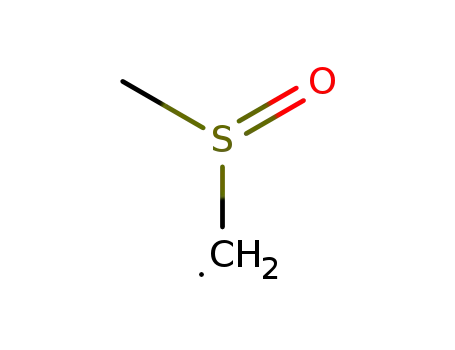 Molecular Structure of 25087-46-1 (Methyl, (methylsulfinyl)-)