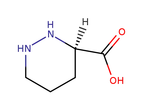 Molecular Structure of 24182-11-4 ((R)-PIPERAZINE-2-CARBOXYLIC ACID)