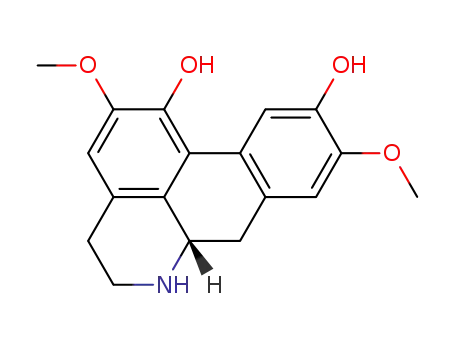 norbracteoline