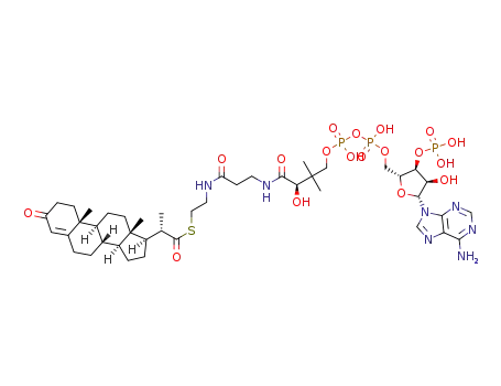 Molecular Structure of 1380518-01-3 (3-oxo-23,24-bisnorchol-4-en-22-oyl-coenzyme A)
