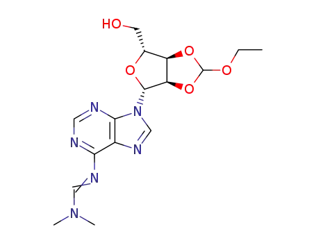 2',3'-O-ethoxymethylene-N<sup>6</sup>-dimethylaminomethyleneadenosine