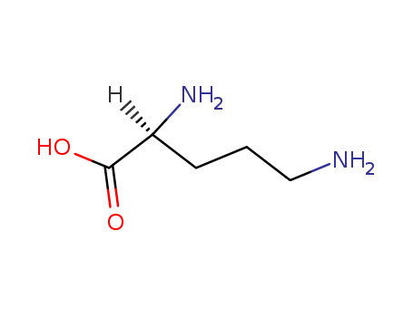 polyornithine