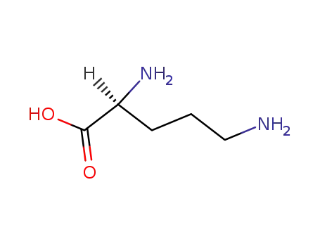 Molecular Structure of 25104-12-5 (polyornithine)