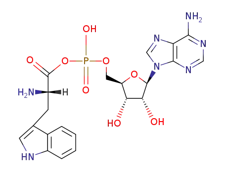 Molecular Structure of 31528-64-0 (tryptophyl adenylate)
