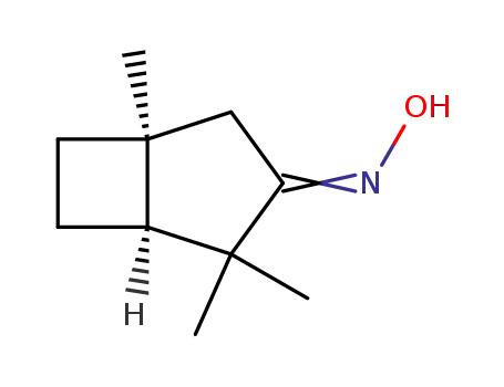 (+/-)-3-oximino-1,4,4-trimethylbicyclo<3.2.0>heptane